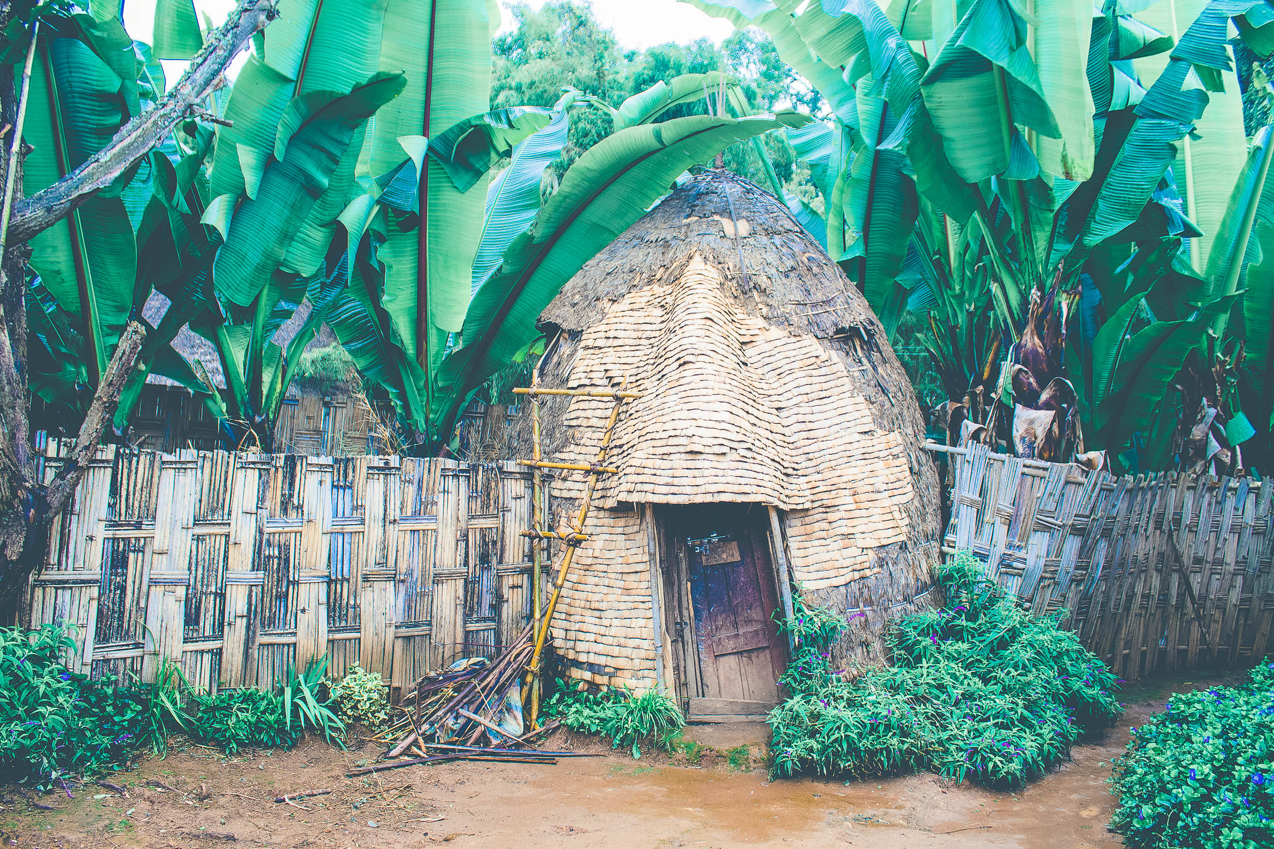 dorze cultural experience