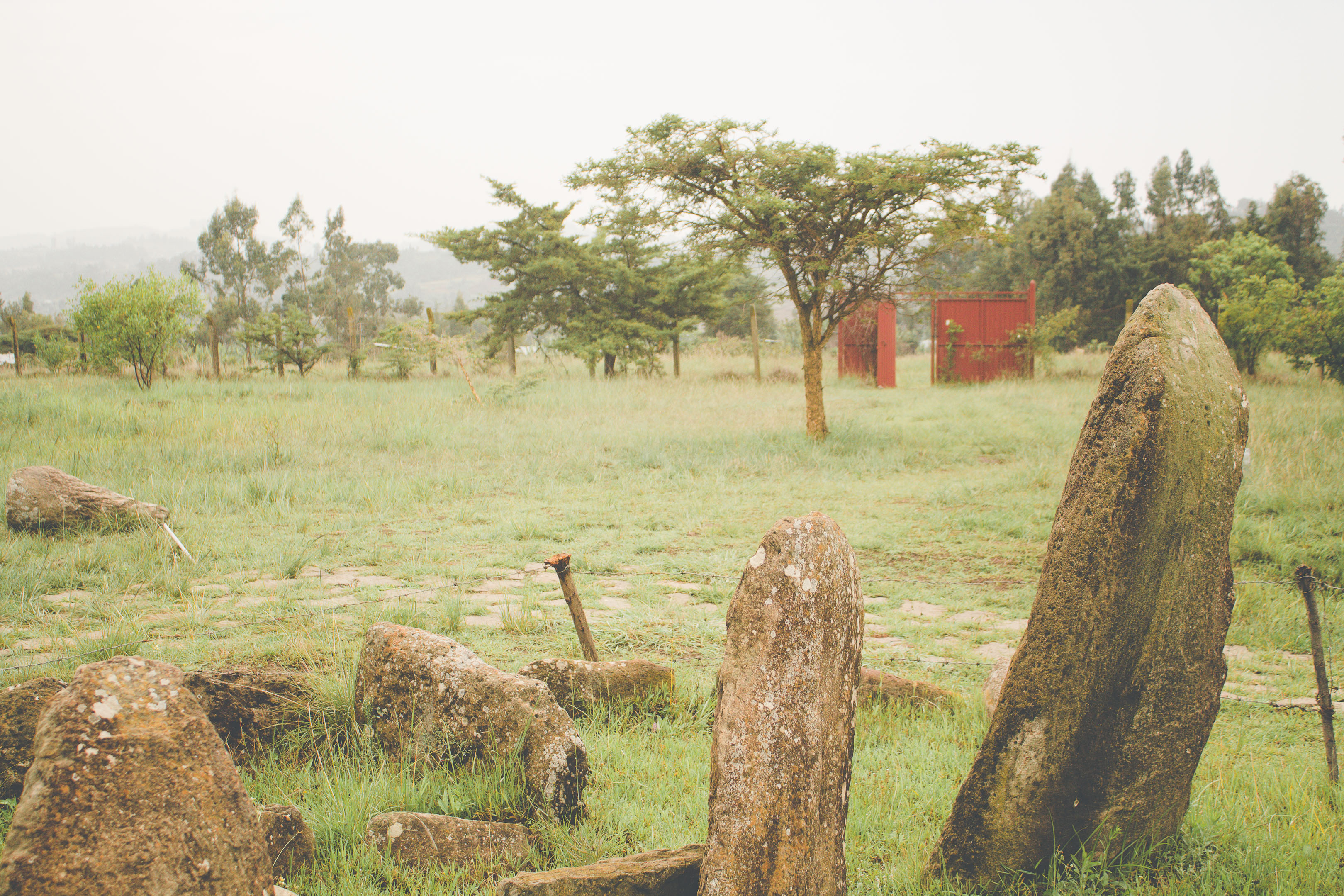 Tiya standing stones